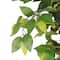 6ft. Artificial Ficus Microcarpa Tree in White Decorative Pot